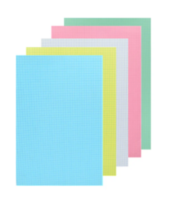 FICHE BRISTOL PETIT FORMAT M ASSORTIE PAQ100 RIBAT