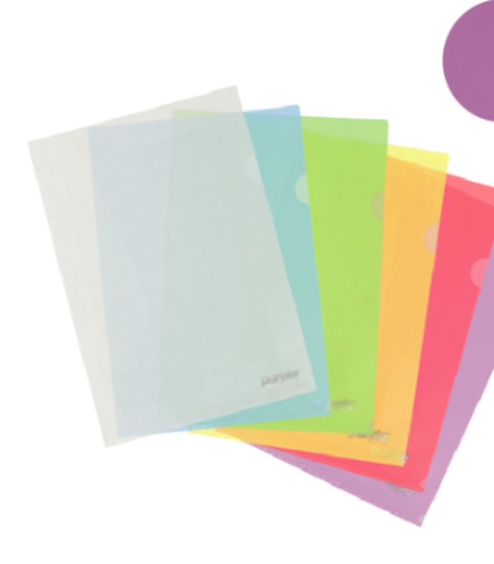 Lot de 10 Pochettes Coin PP Lisse