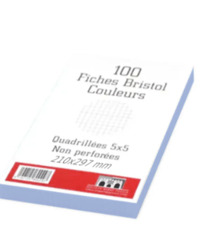 FICHE BRISTOL GRAND FORMAT BLANC PAQ100  RIBAT