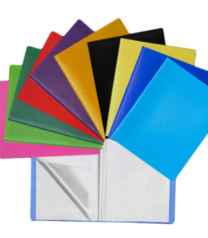 PORTE FOLIO 300 VUES ESSENTIAL PURPLE 1500009