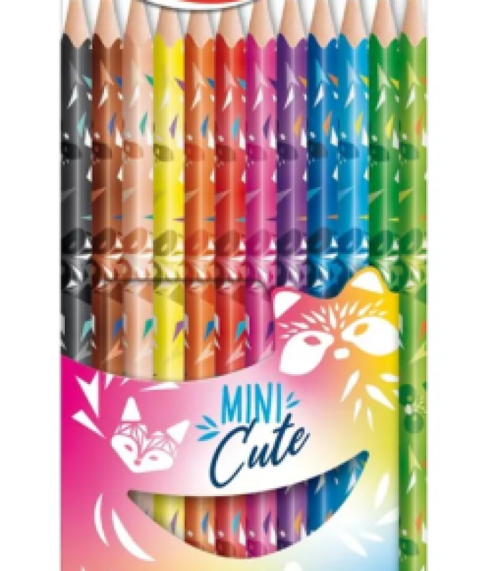 CRAYON COULEUR 12/18 862201 MAPED