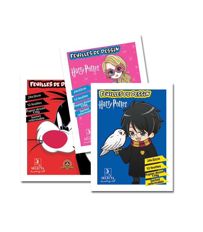 POCHETTE DESSIN 12F